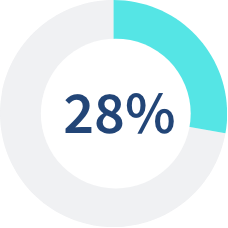 28 percent